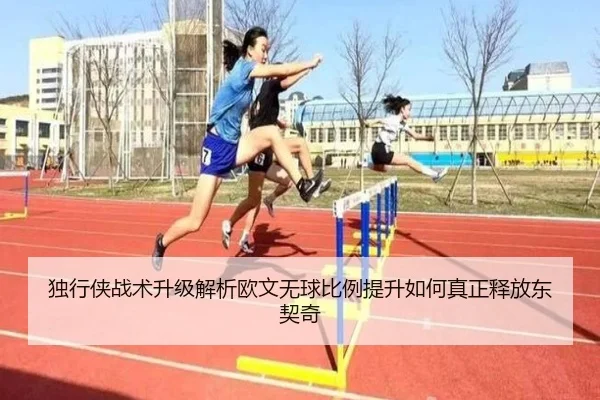 img_1783365143385_2242_1_850.jpg